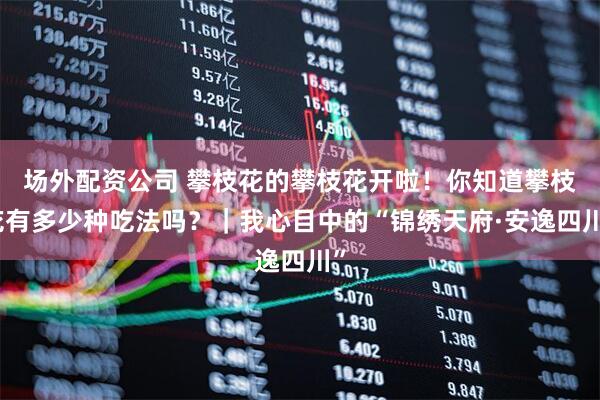 场外配资公司 攀枝花的攀枝花开啦！你知道攀枝花有多少种吃法吗？｜我心目中的“锦绣天府·安逸四川”